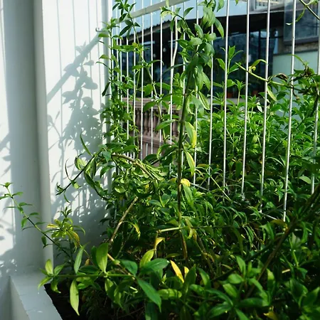 Maiam Homestay Ho Chi Minh City Exterior photo